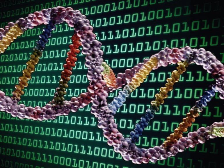 Rewriting the Genetic Code of Storage
