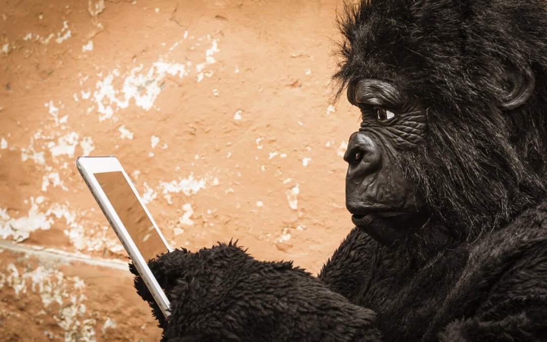 How to Get the Enterprise Network You Need Without the Gorilla Tax